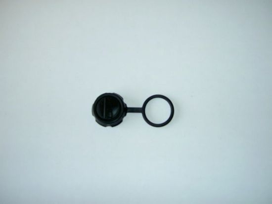 Picture of R103932