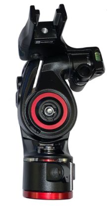 Picture of R113784