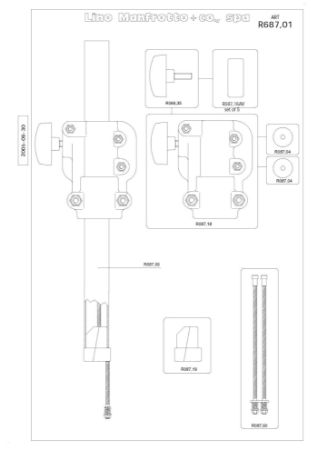 Immagine di R687,01