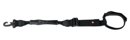 Imagen de MSTRAP-2