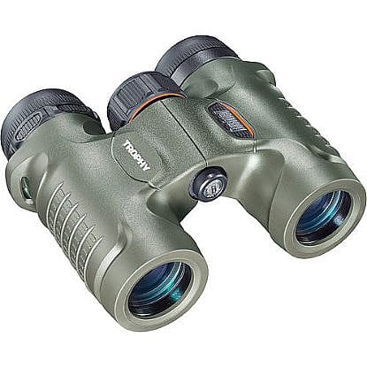 Immagine di 332810 Trophy 10 x 28