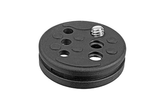 585PL